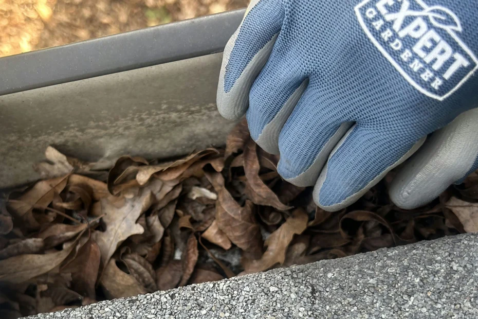 Gutter Cleaning Sugar Land