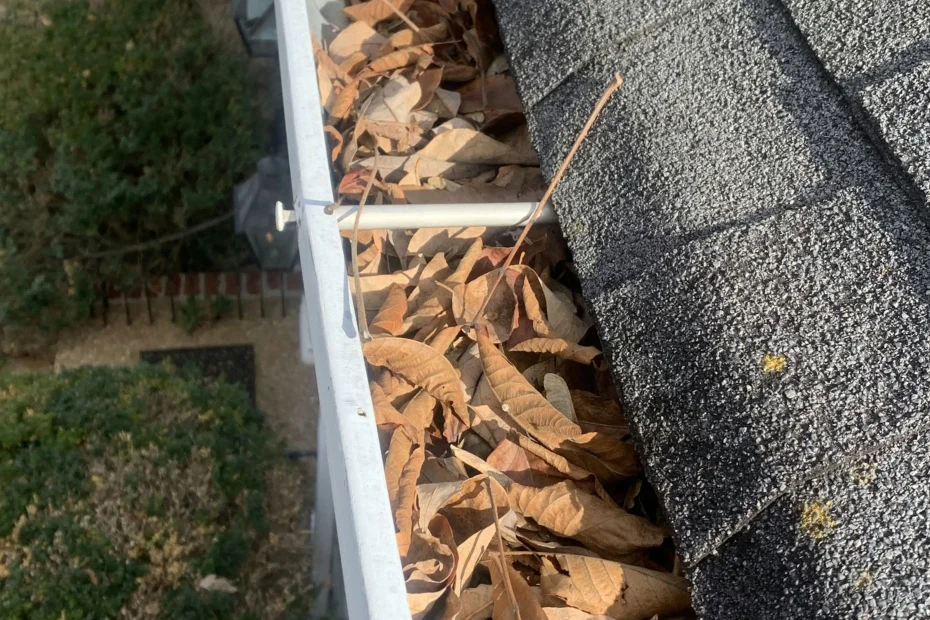 Gutter Cleaning Sugar Land