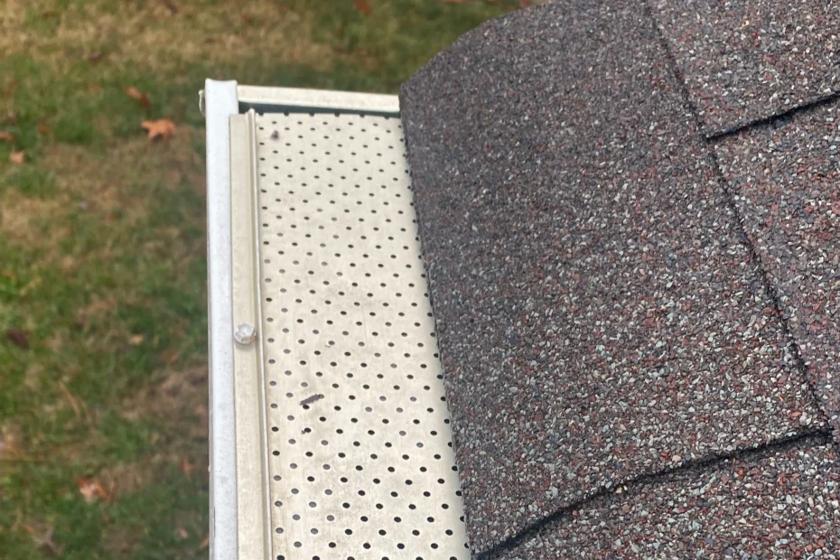 Gutter Cleaning Sugar Land