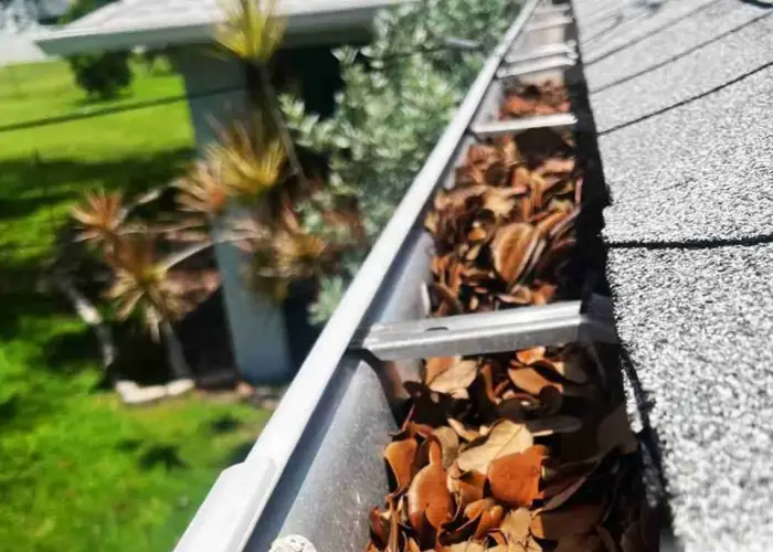 Gutter Cleaning Sugar Land home page